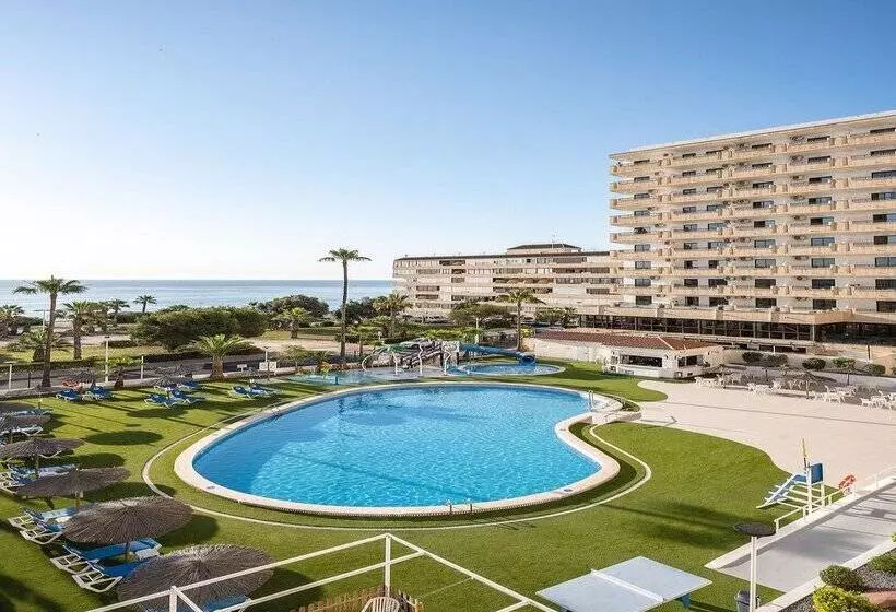 Fotos del hotel Playas De Torrevieja:  239