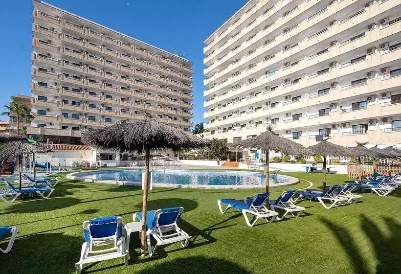 Fotos del hotel Playas De Torrevieja:  163