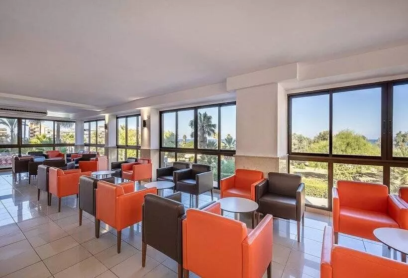 Fotos del hotel Playas De Torrevieja:  248