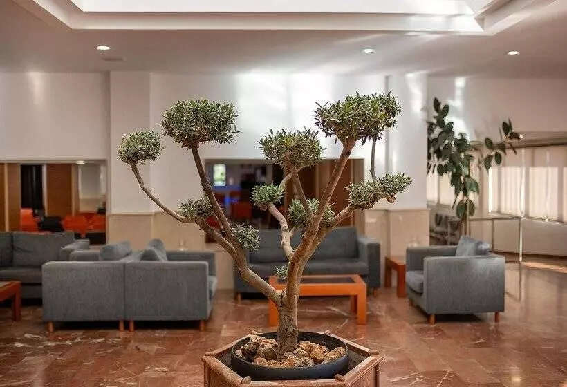 Fotos del hotel Playas De Torrevieja:  190