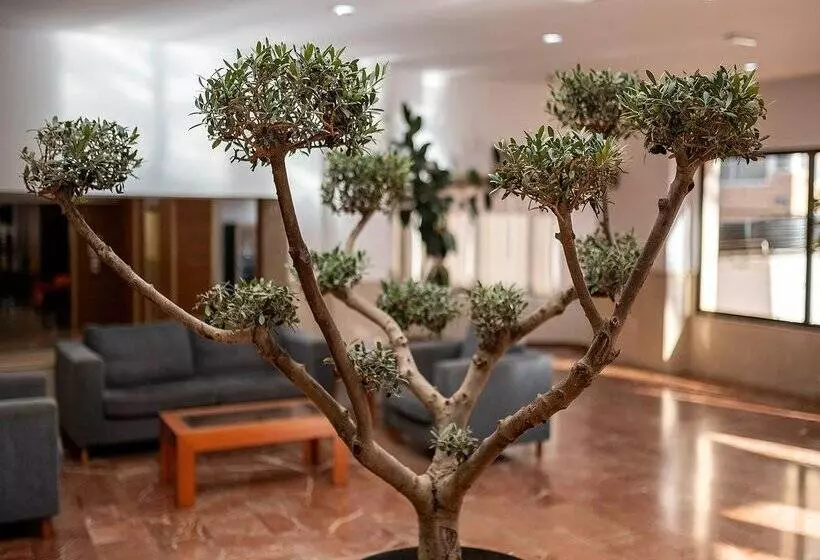 Fotos del hotel Playas De Torrevieja:  233