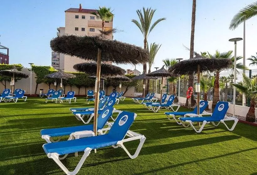 Fotos del hotel Playas De Torrevieja:  111