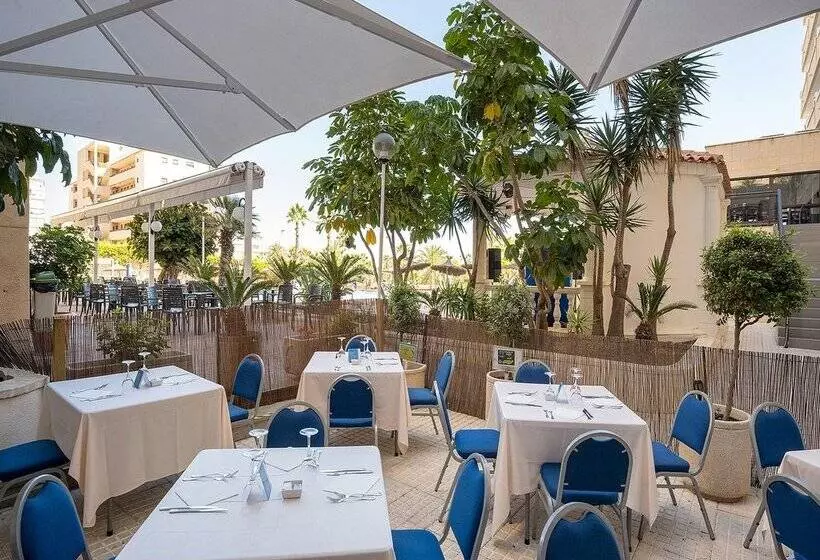 Fotos del hotel Playas De Torrevieja:  226