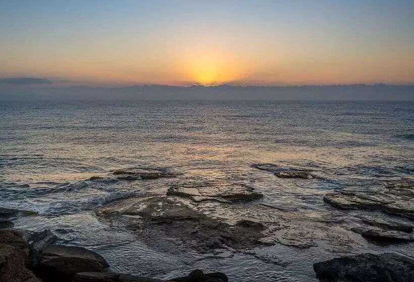 Fotos del hotel Playas De Torrevieja:  156