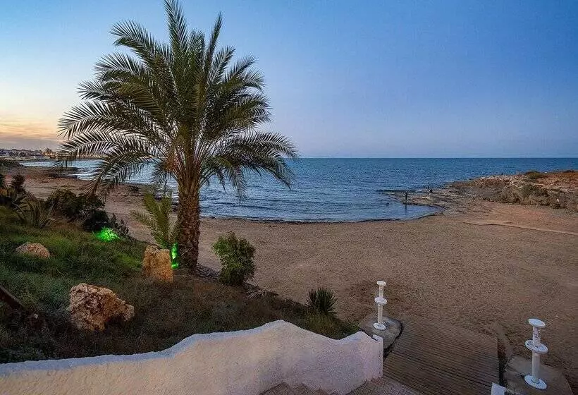 Fotos del hotel Playas De Torrevieja:  147