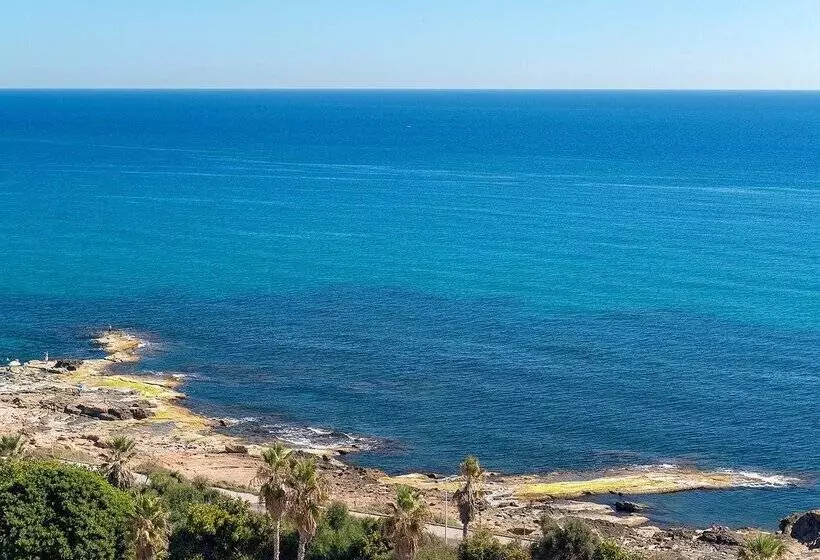 Fotos del hotel Playas De Torrevieja:  142