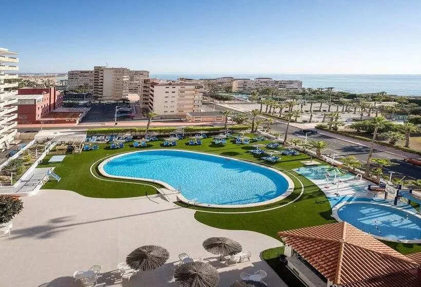 Fotos del hotel Playas De Torrevieja:  255