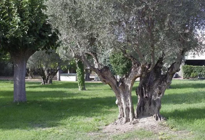 Fotos del hotel Los Olivos:  17