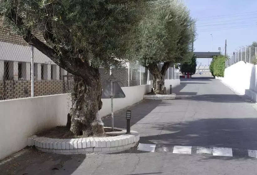 Fotos del hotel Los Olivos:  13