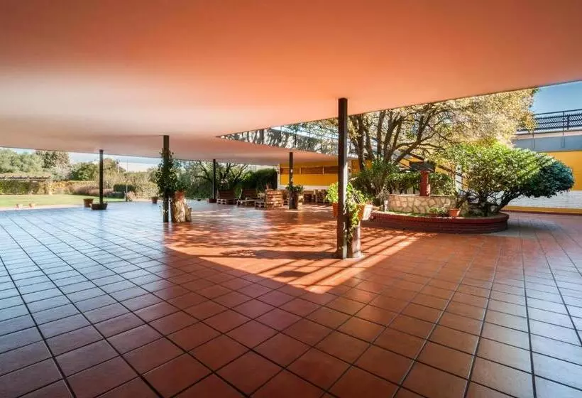 Fotos del hotel Los Olivos:  16