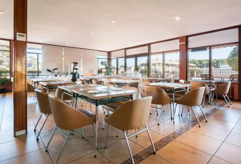 Fotos del hotel Los Olivos:  15