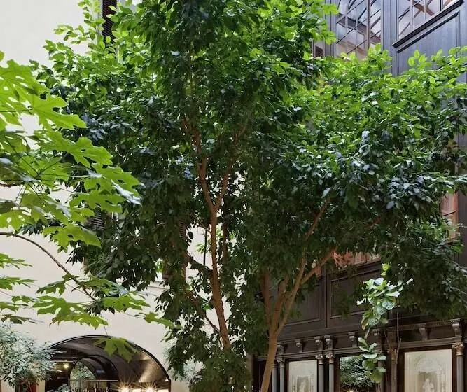 Fotos del hotel König Von Ungarn:  15