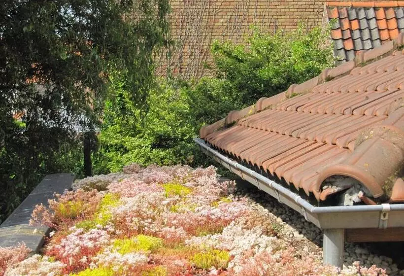 Fotos del hotel Fevery:  12