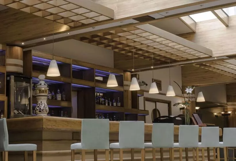 Fotos del hotel Nh Bariloche Edelweiss:  38