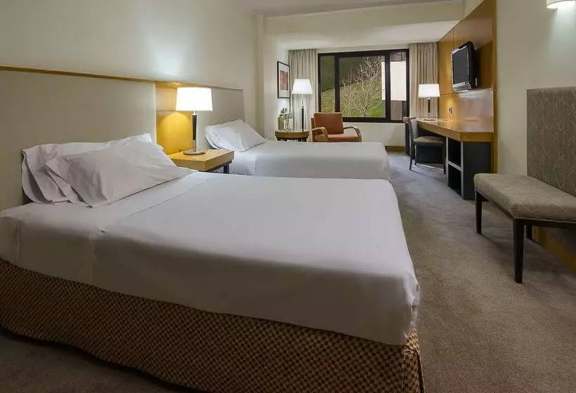 Fotos del hotel Nh Bariloche Edelweiss:  8