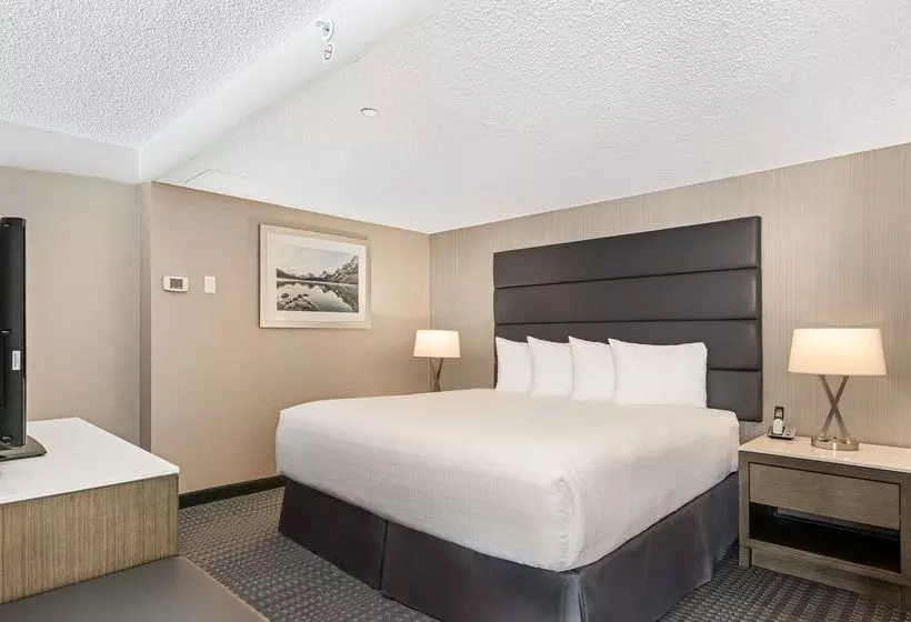 Fotos del hotel Best Western Premier Calgary Plaza  & Conference Centre:  11