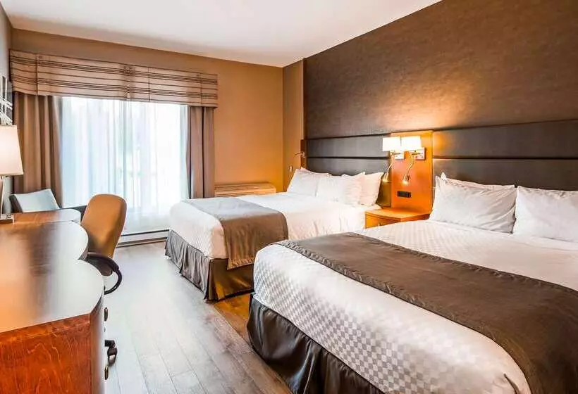 Fotos del hotel Best Western Premier  Aristocrate:  20