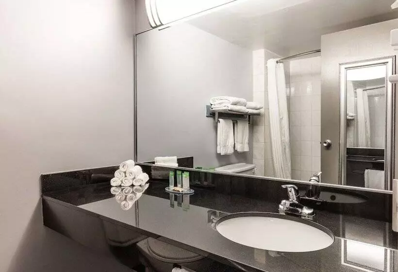 Fotos del hotel Lelux:  9