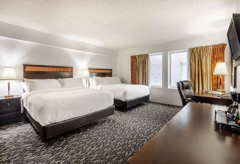 Fotos del hotel Lelux:  23