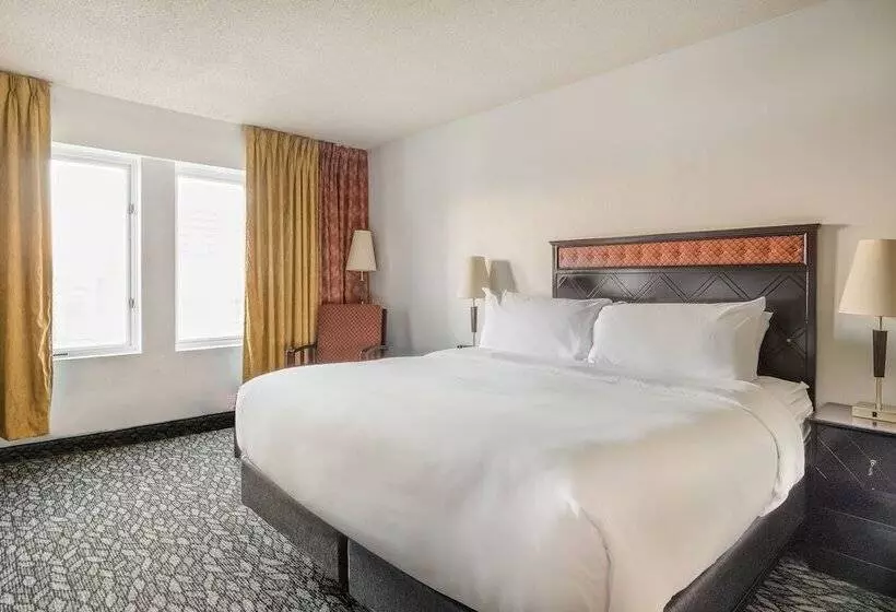 Fotos del hotel Lelux:  22