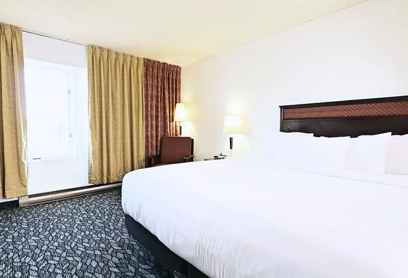 Fotos del hotel Lelux:  20