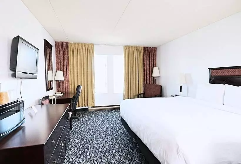 Fotos del hotel Lelux:  17