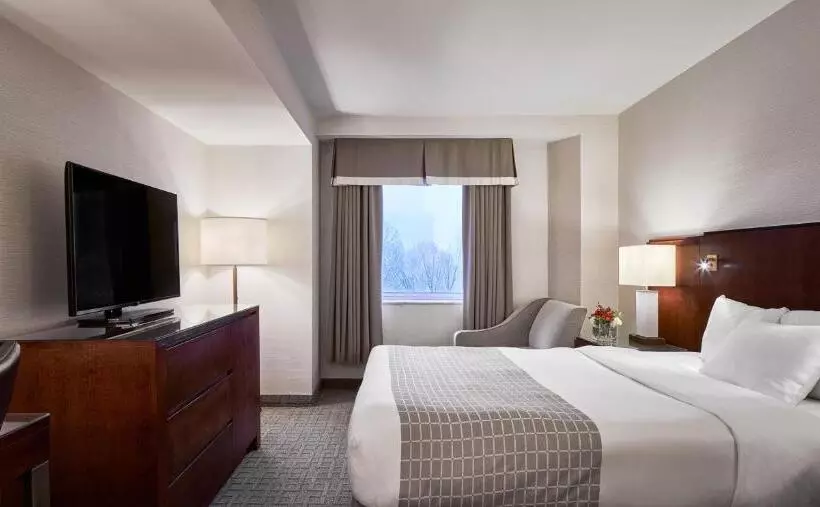 Fotos del hotel Lord Elgin:  21