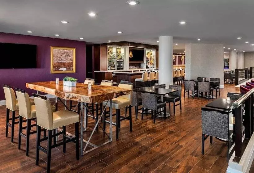 Fotos del hotel The Westin Toronto Airport:  8