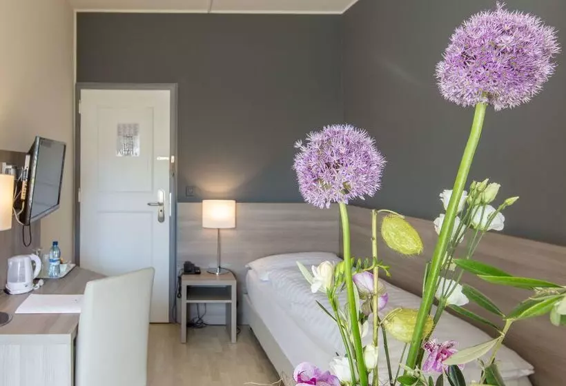 Fotos del hotel De La Rose:  9