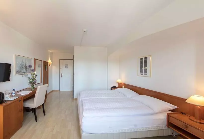 Fotos del hotel De La Rose:  22