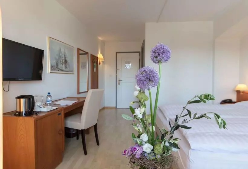 Fotos del hotel De La Rose:  24