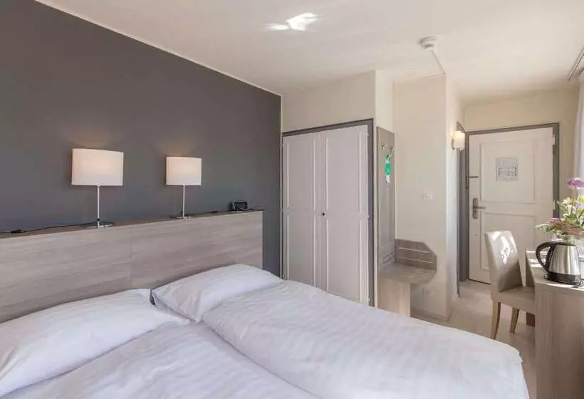 Fotos del hotel De La Rose:  14