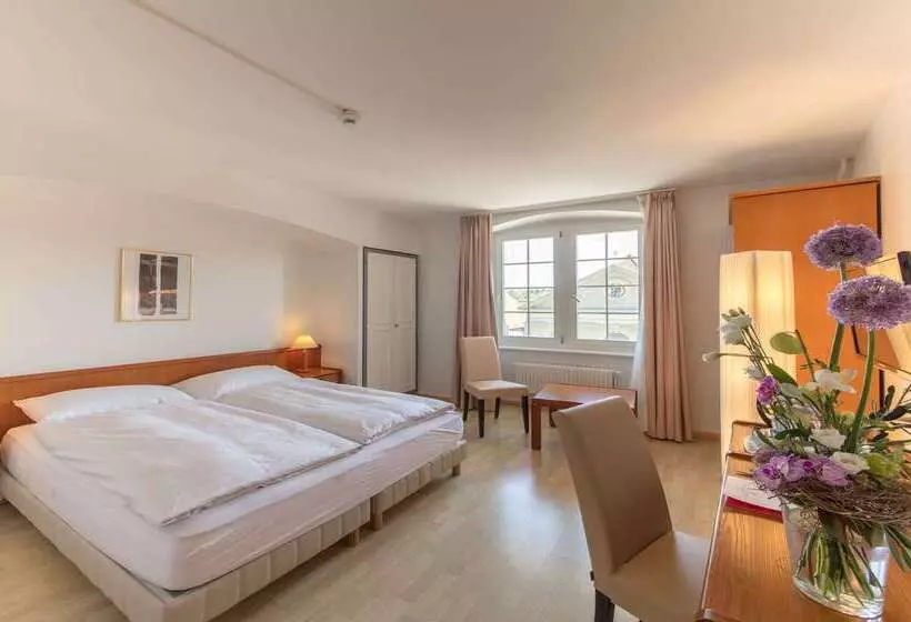 Fotos del hotel De La Rose:  8