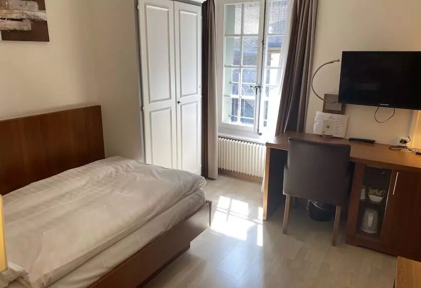 Fotos del hotel De La Rose:  6