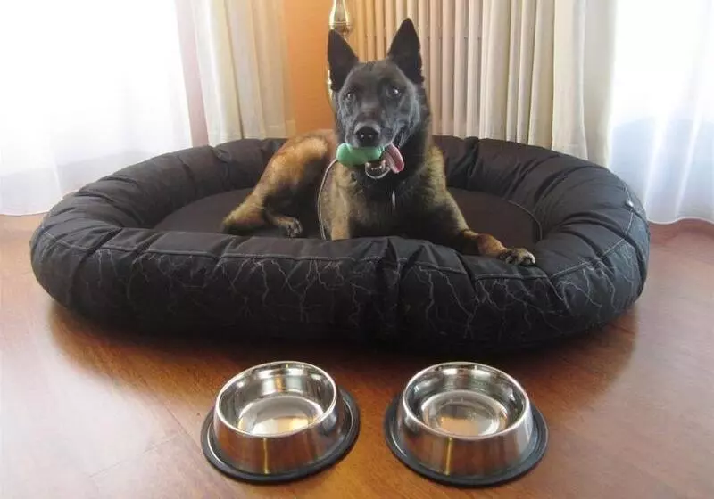 Fotos del hotel Hotel Europe:  19