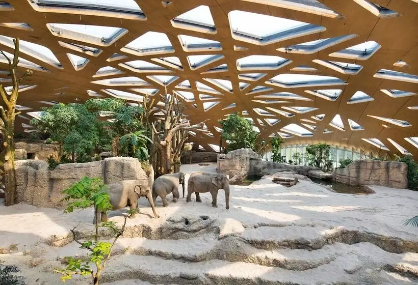 Fotos del hotel Montana Zürich:  6