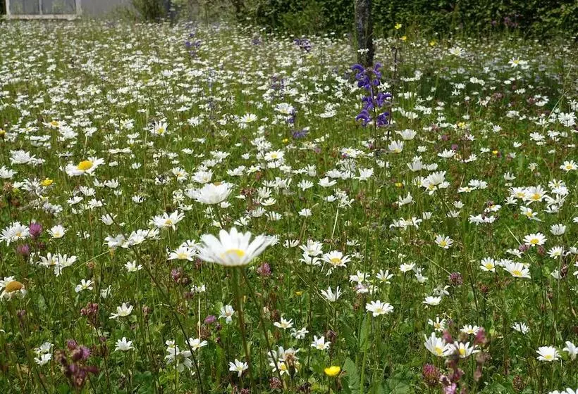 Fotos del hotel Schweizerhof:  9