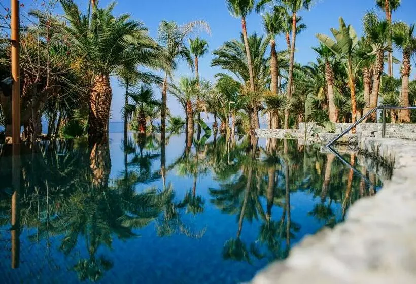 Fotos del hotel Amathus Beach  Limassol:  10