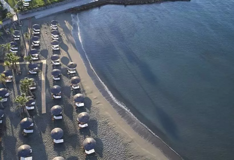 Fotos del hotel Amathus Beach  Limassol:  20