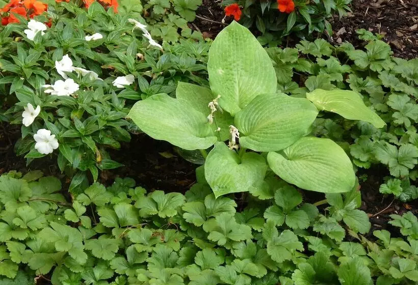 Fotos del hotel Elba Am Kurfürstendamm - Design Chambers:  7