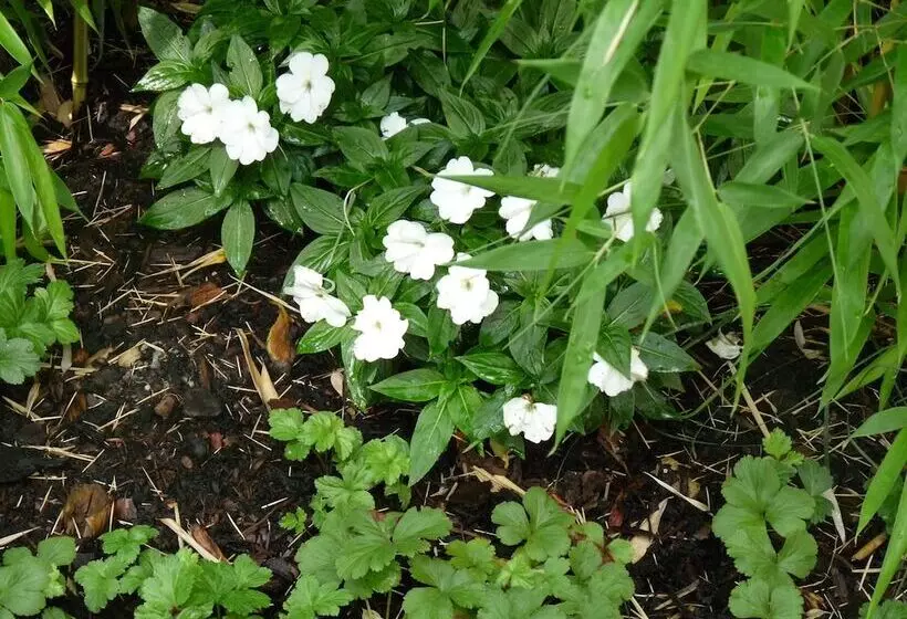 Fotos del hotel Elba Am Kurfürstendamm - Design Chambers:  3