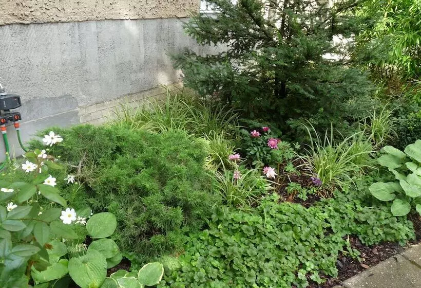 Fotos del hotel Elba Am Kurfürstendamm - Design Chambers:  8