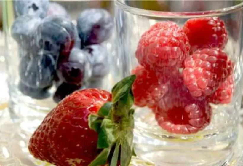 Fotos del hotel Elba Am Kurfürstendamm - Design Chambers:  14