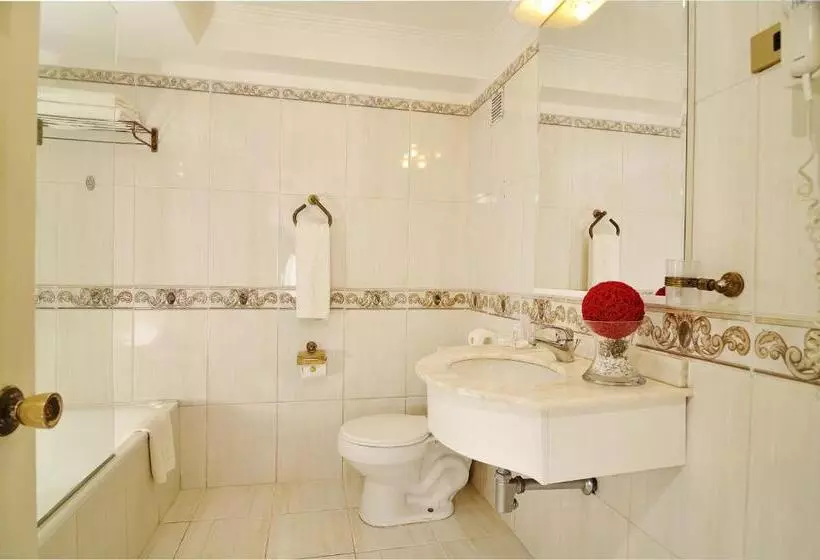 Fotos del hotel Gran Palace:  13