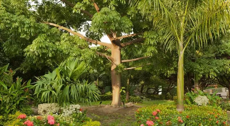 Fotos del hotel Irotama Resort:  3