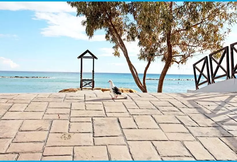 Fotos del hotel Poseidonia Beach:  10