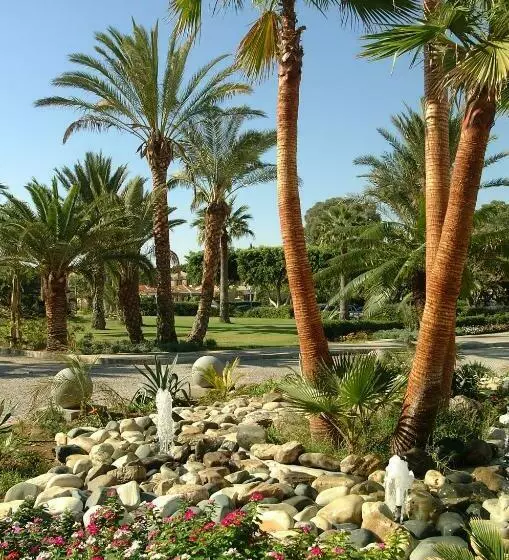 Fotos del hotel Palm Beach Hotel & Bungalows:  15