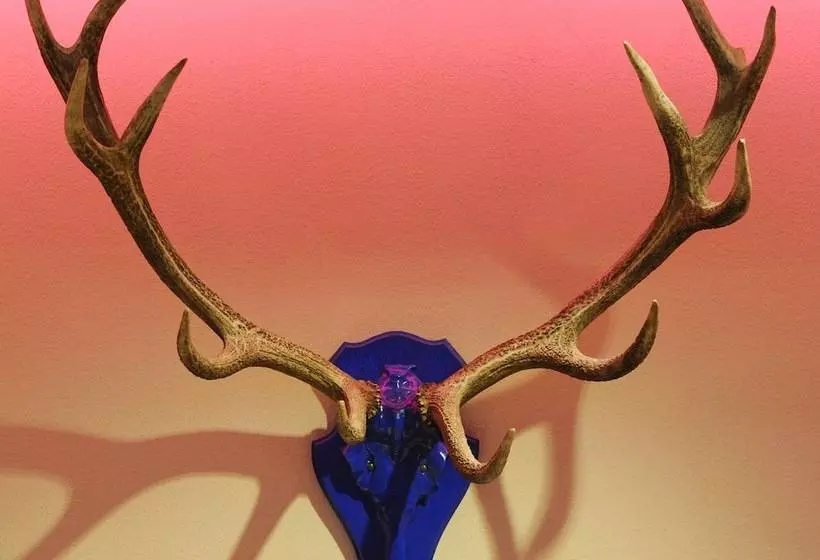 Fotos del hotel Blauer Bock:  5