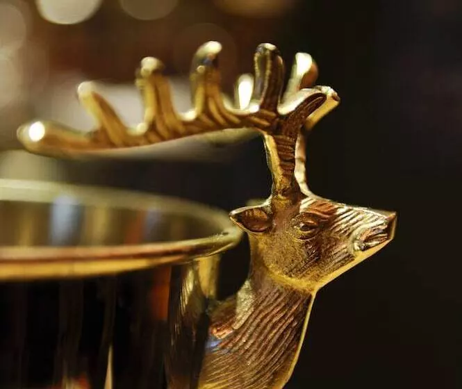 Fotos del hotel Blauer Bock:  11