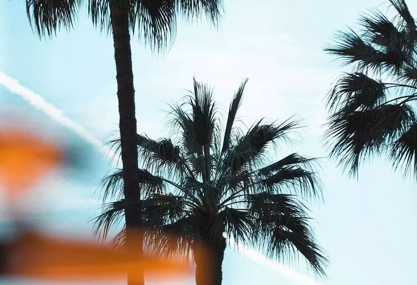 Fotos del hotel Le Grand Hotel Cannes:  24